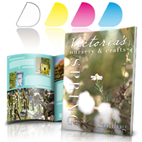 Revistas profesional